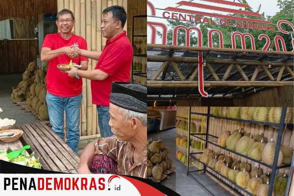 Kedai Durian Milik Yongki Siraja Durian