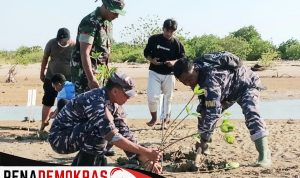 Dihari Mangrove Sedunia TNI AL Hadir Bersama Masyarakat