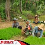 Kebersamaan TNI Ditengah Masyarakat