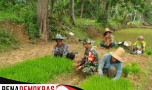 Kebersamaan TNI Ditengah Masyarakat