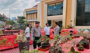 Polres Sumenep Gelar Kontes Bonsai dalam Rangka Hari Bhayangkara Ke-78
