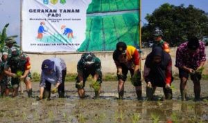 Dandim 0827/Sumenep Dukung Program Perluasan Areal Tanam Padi di Desa Pabian
