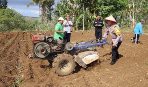 Dukung Swasembada Pangan, Polres Sumenep Tanam Jagung Bersama Bhayangkari