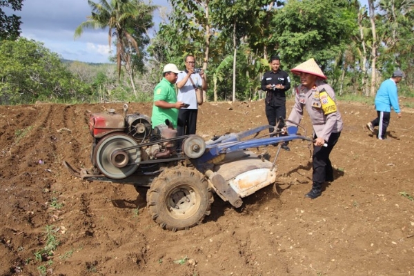 Dukung Swasembada Pangan, Polres Sumenep Tanam Jagung Bersama Bhayangkari