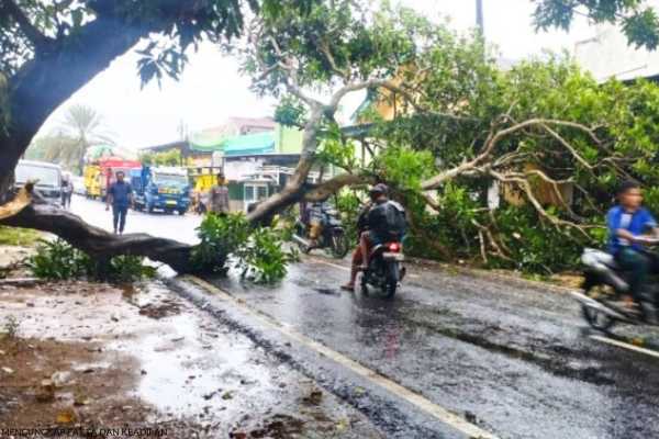 Selamat Hari Raya Idul Fitri_20250102_200512_0000 Pohon Tumbang di Sumenep Kembali Terjadi, Kinerja DLH Dipertanyakan