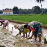 Babinsa Koramil 0827/14 Batang-Batang Layak Menjadi Motivasi 