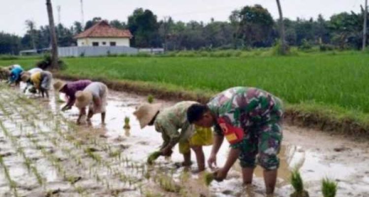 Babinsa Koramil 0827/14 Batang-Batang Layak Menjadi Motivasi 