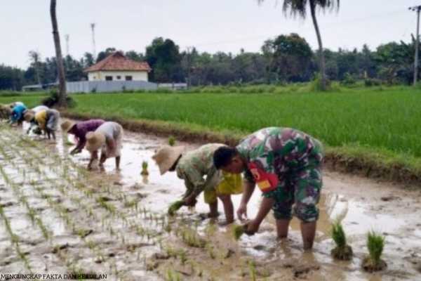 Babinsa Koramil 0827/14 Batang-Batang Layak Menjadi Motivasi 