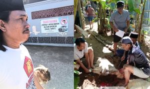 Berkurban Perintah Agama: Erfandi Kembali Sumbang Kambing di Idul Adha 2025