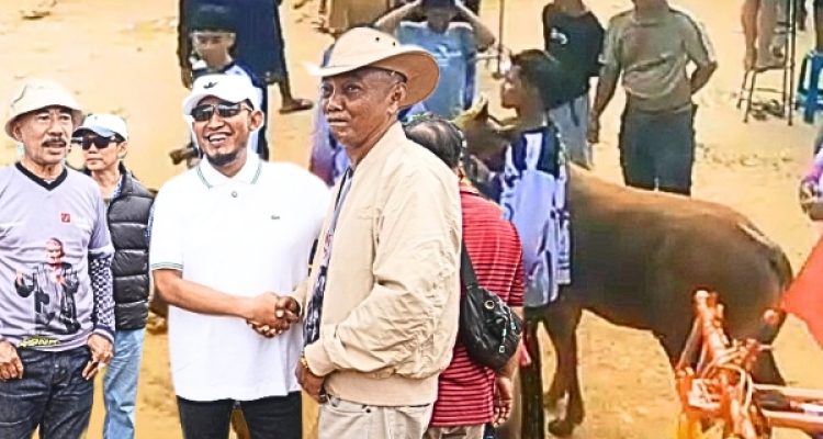 Kerapan Sapi Sumenep Gaungkan Warisan Budaya Leluhur