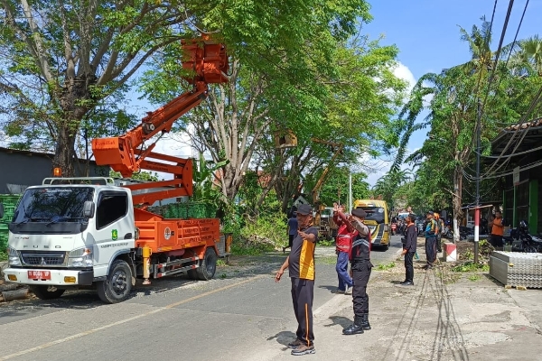 Selamat Hari Raya Idul Fitri_20251031_235552_0000 Polres Sumenep Sigap Membantu Evakuasi Pohon Tumbang
