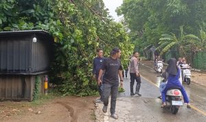 Respons Cepat Petugas Polsek Kalianget Laporan Pohon Tumbang