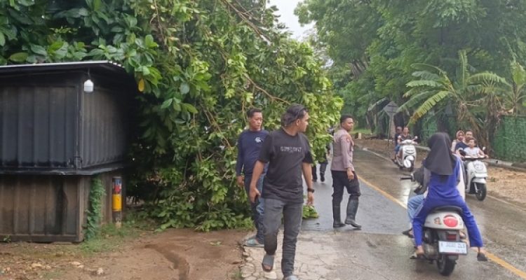 Respons Cepat Petugas Polsek Kalianget Laporan Pohon Tumbang