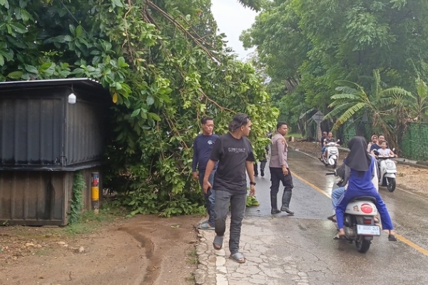 Respons Cepat Petugas Polsek Kalianget Laporan Pohon Tumbang