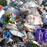 Sampah Dibiarkan Menumpuk dan Membusuk, Warga Desak Pemerintah