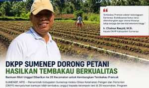 DKPP Sumenep Optimalkan Tembakau Unggulan Demi Kesejahteraan Petani